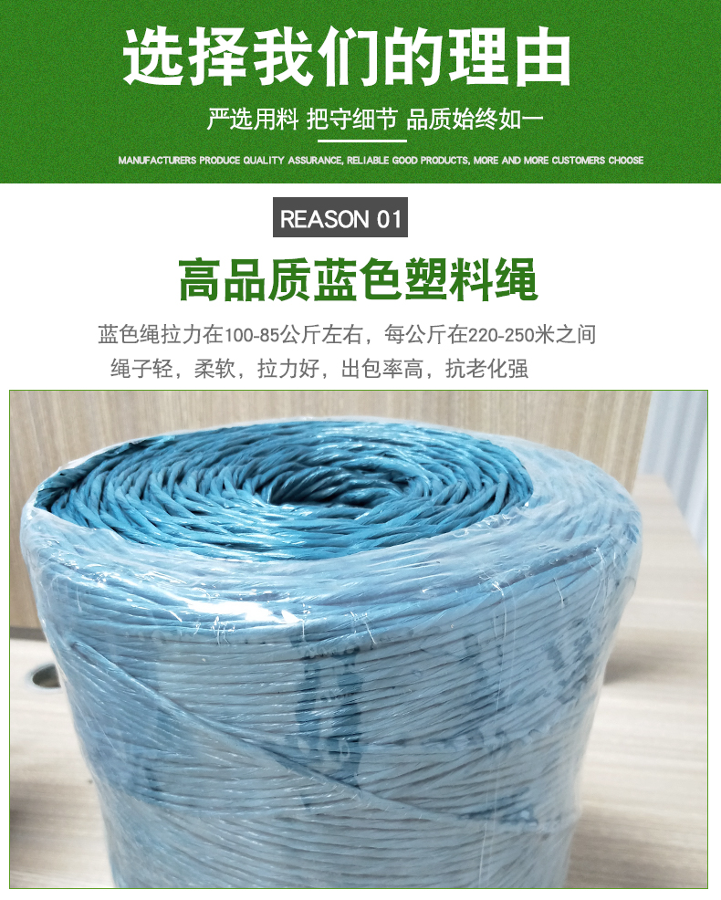 藍(lán)塑料繩詳情_04
