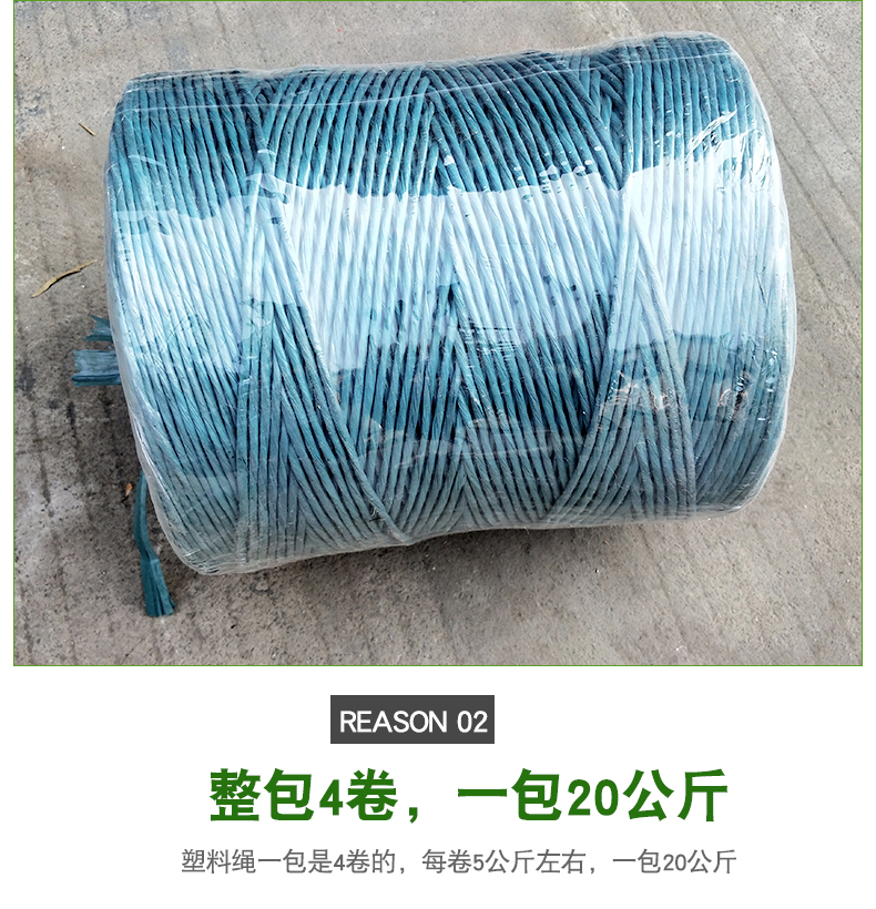 藍(lán)塑料繩詳情_06