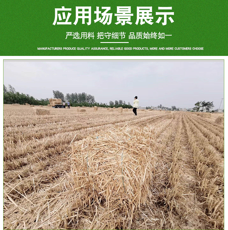 藍(lán)塑料繩詳情_10